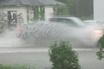 Flood In Olympia