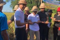 Dinas Pertanian dan Pangan Kabupaten Badung Panen Padi Nusantara 1 Juta Hektar