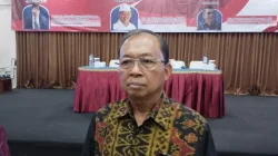 Ketua DPD PDIP Bali Wayan Koster. (nan)