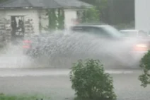 Flood In Olympia