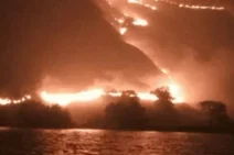 10 Hektare Savana Taman Komodo Hangus Terbakar