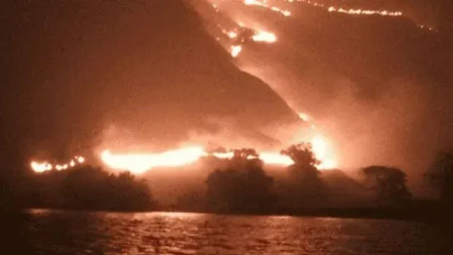 10 Hektare Savana Taman Komodo Hangus Terbakar