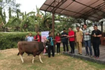 Telkomsel – Serahkan Lebih dari 700 Ekor Hewan Kurban