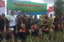BI: Pengembangan Bawang Putih Upaya Pemerintah Kurangi Ketergantungan Impor