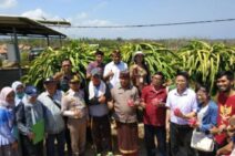 Minati Buah Naga, Karantina Cina Lakukan Kunjungan Kerja di Denpasar