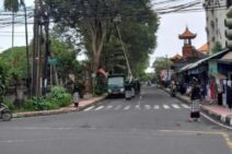 Antisipasi Pohon Tumbang, DLHK Kota Denpasar Aktif Lakukan Ini