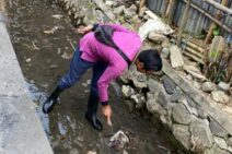 Desa Dangin Puri Klod Gelar Aksi Jumat Bersih Sungai