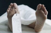 Tertimpa Pohon Randu, Pengendara Motor Asal Mendoyo Tewas Ditempat Kejadian