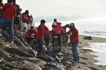 “Menyama Braya” OJK Bali Gelar Resik Pantai