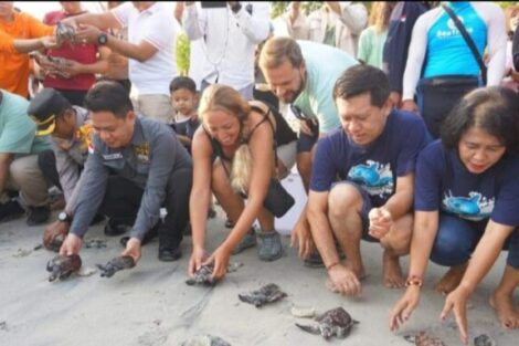Bupati Suwirta Gelar World Clean Up, Minta Pelaku Pariwisata Peduli Jaga Kebersihan Pantai dan Lestarikan Penyu
