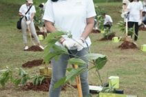 HIN Dukung Gerakan Injourney Green, Komitmen Membangun Ekosistem Pariwisata Berkelanjutan