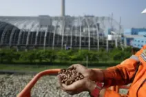 PLN Raih Green Business Ratings Terbaik di Sektor Energi dan Pertambangan