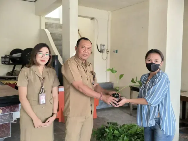 Desa Dangin Puri Klod, Denpasar Timur, Denpasar, menyerahan 1.500 bibit tanaman cabai kepada masyarakat pada Senin (5/8/2024). (Foto/ist)