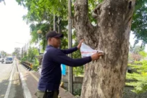 Satpol PP Kota Denpasar Tertibkan Baliho, Spanduk dan Banner