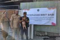 Kelurahan Sesetan Serahkan Bantuan Bibit dan Pakan Babi