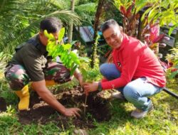 Merawat Pertiwi, HUT PDI Perjuangan Buleleng Tanam 500 Pohon