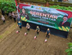 Bupati Nyoman Giri Prasta Dukung Program Ketahanan Pangan Nasional di Desa Sibanggede