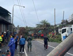 Cuaca Ekstrem di Bali, PLN Sigap Kerahkan Petugas untuk Pulihkan Kondisi Kelistrikan