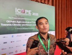 Siap Ciptakan B50, Pertamina Ungkap Masa Depan Penggunaan Energi Terbarukan RI