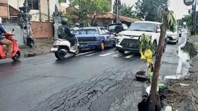 dek tamu