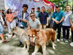Rangkaian Hut ke-237, Pemkot Denpasar Gelar Weekend Dog Festival dan Kontes Ikan Mas Koki Bali