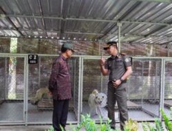 Sekda Dewa Indra: Tingkatkan Kemampuan Komunikasi, Pol PP dan Satlinmas Harus Humanis dalam Menangani Pelanggaran