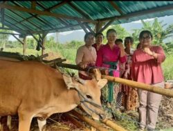 Sekjen KPA Dewi Kartika Serahkan 21 Ekor Sapi Kepada Kelompok Sangha Perempuan Damara Saraswati Buleleng