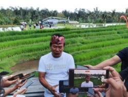 Jatiluwih Eco Farm, Destinasi Baru yang Tawarkan Wisata Alam, Budaya, dan Aktivitas Pertanian