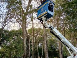Cegah Kriminalitas, Pemkot Denpasar Ganti Lampu Penerangan Jalan Dengan LED
