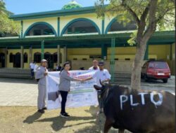 PLTU Celukan Bawang Salurkan 22 Hewan Kurban Jelang Idul Adha 1446 H