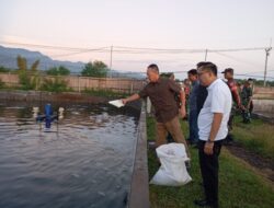 Tinjau Pilot Project Ketahanan Pangan, Pangdam IX/Udayana Kunjungi Keramba Tancap di Buleleng
