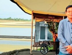 Daya Serap Lokal Lemah, Pemerintah Didorong Hadir Pasca Musim Ekspor Nener
