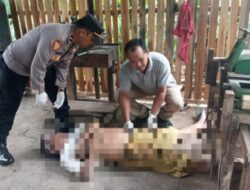 Pekerja Asal Pasuruan Ditemukan Meninggal di Gudang Bengkel Gergaji di Buleleng