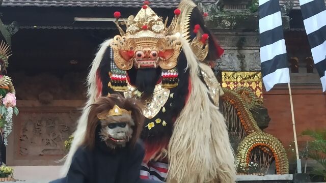 ngelawang1.1