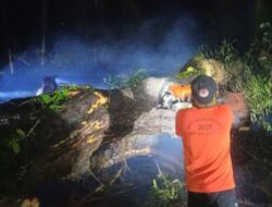 Gerak Cepat, BPBD Tabanan Tangani Dampak Banjir dan Pohon Tumbang Akibat Hujan Deras