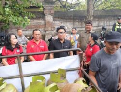 Wawali Denpasar Arya Wibawa Tinjau Bazzar Pangan Dinas Perikanan di Desa Dangri Klod
