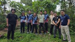 wikan2