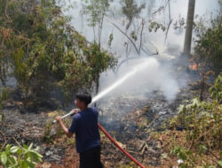 Kebakaran Lahan 20 Hektare di Desa Sumberkima, Pemadaman Terkendala Medan Terjal