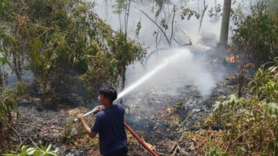 kebakaranhutan