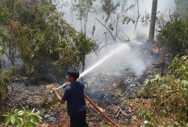 kebakaranhutan