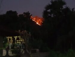 Kawasan Hutan Lindung di Bali Barat Terbakar