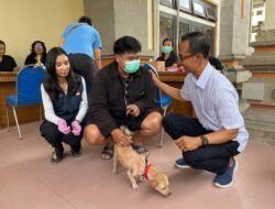 Disperpa Badung Berikan Layanan Sterilisasi Serta Vaksinasi Gratis Hewan Penular Rabies