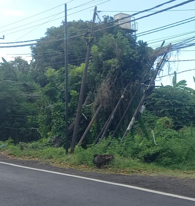 img 20251202 wa0007