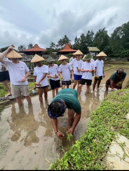 jatiluwih petani1.1