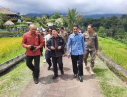 Jatiluwih Darurat Tata Ruang: Pansus TRAP Bergerak, Usaha Tanpa Izin Disegel