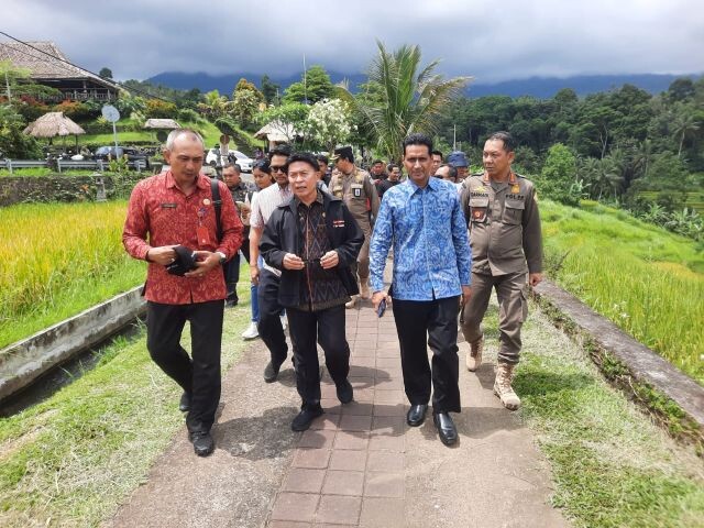 jatiluwih3.1