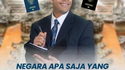 visa1.1