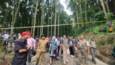 hutan2.1