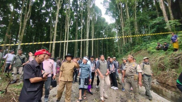 hutan2.1