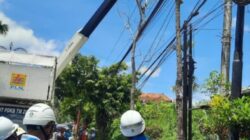 pln layanan1.1